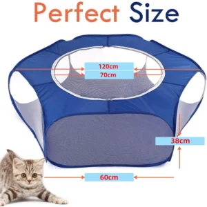 Cage transparente-animaux de compagnie-chat-chien