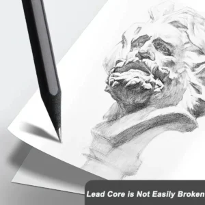 10 pièces 2BHB crayons en bois Simple noir