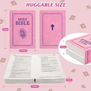 Bible Apprenez la leçon précieux