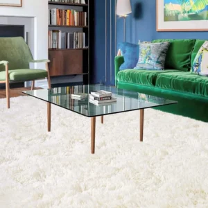 Tapis de salon 200x300 cm