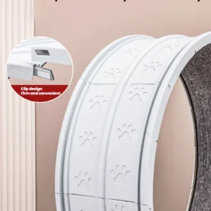 L'exercice quotidien pour chat