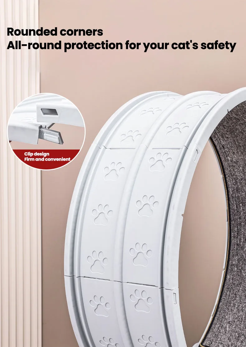 L'exercice quotidien pour chat